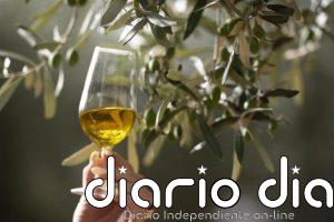 La UE registra la nueva Denominación de Origen Protegida de aceite de las Sierras Espadán y Calderona