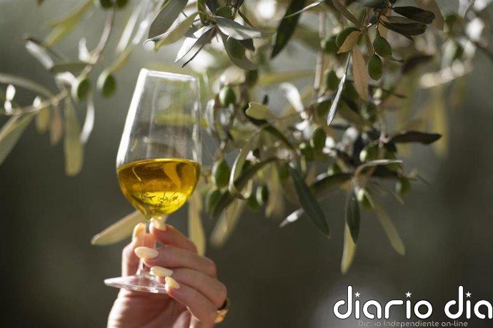 La UE registra la nueva Denominación de Origen Protegida de aceite de las Sierras Espadán y Calderona