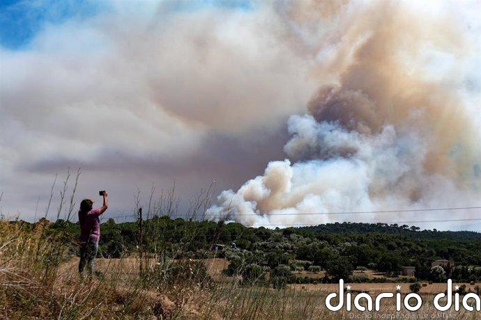 La UME acude con 200 militares y 60 vehículos por riesgo de "simultaneidad" de incendios en Bisbal d'Empordà (Gerona)