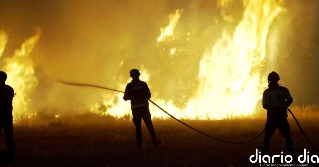 La UME se moviliza para combatir el virulento incendio de Zamora