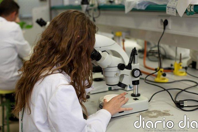 La Universidad de Jaén capta talento investigador internacional con cuatro ayudas del programa Beatriz Galindo