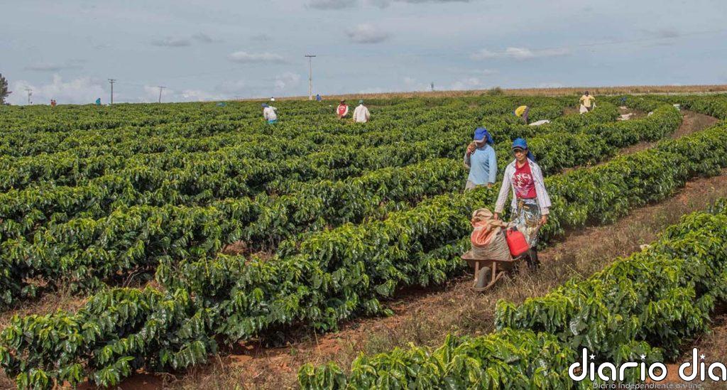 La volatilidad arriesga las ganancias agrícolas en todo el mundo