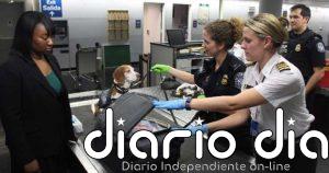 Las aerolíneas endurecen los requisitos de embarque para mascotas tras nueva regulación europea de transporte