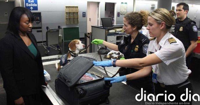 Las aerolíneas endurecen los requisitos de embarque para mascotas tras nueva regulación europea de transporte
