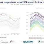 Las temperaturas diarias de la superficie del mar a nivel mundial baten récords para la época del año, según Copernicus