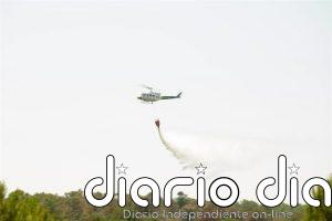 Localizados 42 de los 46 linces liberados del centro de cría de Santa Elena (Jaén) por la cercanía del incendio
