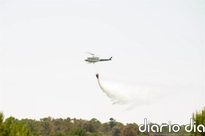 Localizados 42 de los 46 linces liberados del centro de cría de Santa Elena (Jaén) por la cercanía del incendio