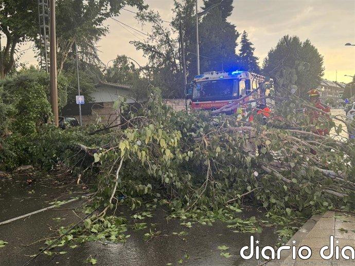 Los Bomberos de la Comunidad realizan 92 intervenciones durante la tormenta de este martes