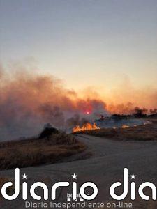 Los Bombers activan 13 dotaciones por un incendio en Guimerà (Lleida)