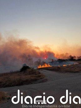 Los Bombers activan 13 dotaciones por un incendio en Guimerà (Lleida) Incendio en Guimerà (Lleida)