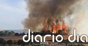 Los Bombers afirman que el incendio en Guimerà (Lleida) está "mucho mejor" y esperan estabilizarlo