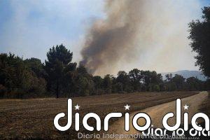 Los Bombers descartan dar por controlado este domingo el incendio de la Bisbal (Girona)