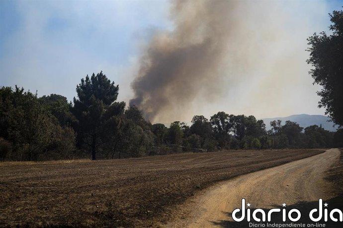 Los Bombers descartan dar por controlado este domingo el incendio de la Bisbal (Girona)