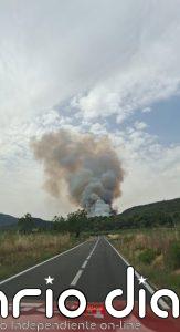 Los Bombers trabajan en un nuevo incendio de vegetación forestal en Aiguamúrcia (Tarragona)