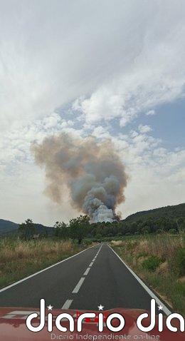 Los Bombers trabajan en un nuevo incendio de vegetación forestal en Aiguamúrcia (Tarragona)
