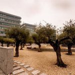 Los concursos de acreedores bajan un 5,8% hasta junio y la creación de empresas crece un 12,9%, según Experian