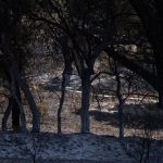 Los esfuerzos en el incendio de Madrid se centran en mantener la "estabilidad del perímetro" ante la ola de calor