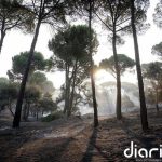 Los incendios de Madrid, Ávila y Toledo calcinan 77.000 hectáreas y un perímetro de 280 kilómetros