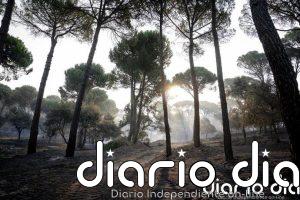 Los incendios de Madrid, Ávila y Toledo calcinan 77.000 hectáreas y un perímetro de 280 kilómetros