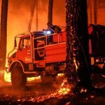 Los incendios en Francia dejan ya más de 200.000 evacuados tras calcinar un récord de casi 98.000 hectáreas
