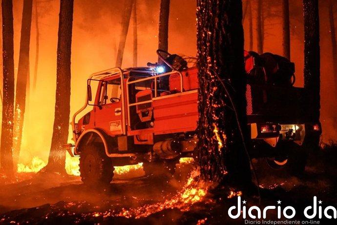 Los incendios en Francia dejan ya más de 200.000 evacuados tras calcinar un récord de casi 98.000 hectáreas