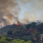 Los incendios forestales han quemado casi 126.000 hectáreas en lo que va de año