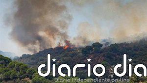 Los incendios forestales han quemado casi 126.000 hectáreas en lo que va de año
