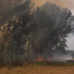 Los incendios más letales en España en este siglo