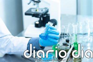 Los laboratorios de análisis clínicos alcanzaron los 1.730 millones en 2025, un 3% más, según DBK Informa