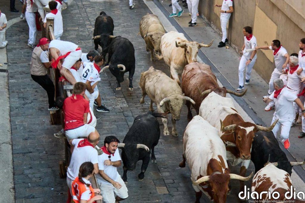 Los toros de Fuente Ymbro protagonizan un rápido y masificado primer encierro de San Fermín