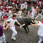Los toros de Miura protagonizan un rápido y limpio séptimo encierro de San Fermín