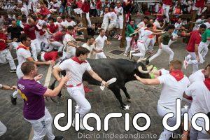 Los toros de Miura protagonizan un rápido y limpio séptimo encierro de San Fermín