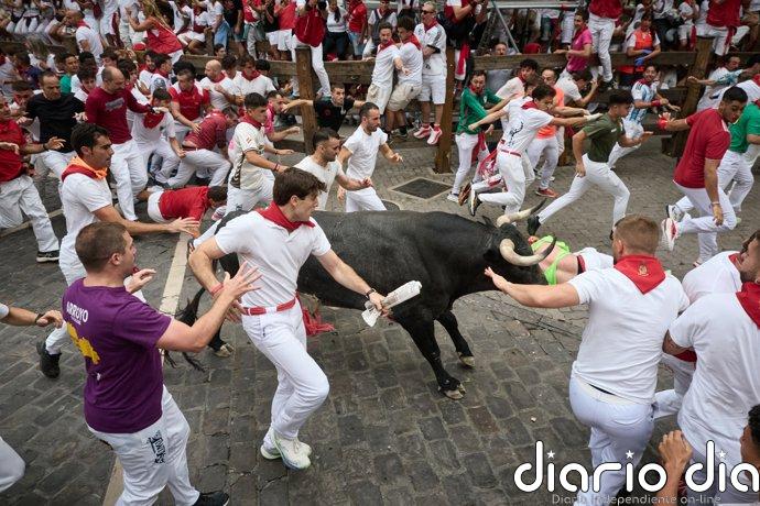 Los toros de Miura protagonizan un rápido y limpio séptimo encierro de San Fermín