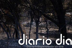 Los trabajos nocturnos en el incendio de la Sierra Oeste de Madrid se centran en rematar los "puntos calientes"