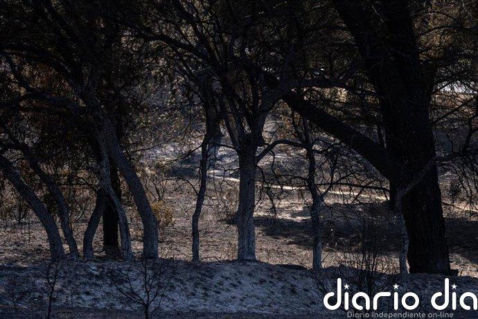 Los trabajos nocturnos en el incendio de la Sierra Oeste de Madrid se centran en rematar los "puntos calientes"