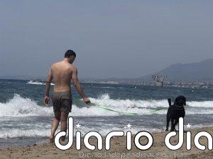 Marbella (Málaga) mantiene espacios habilitados para disfrutar de la playa con mascotas durante la temporada de baño