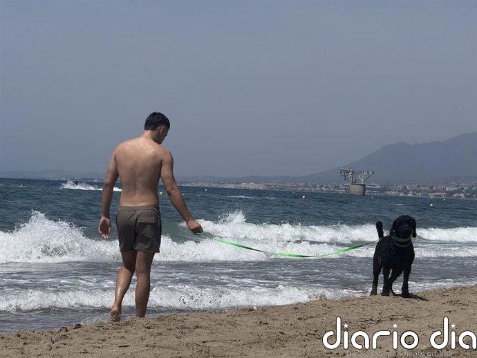 Marbella (Málaga) mantiene espacios habilitados para disfrutar de la playa con mascotas durante la temporada de baño