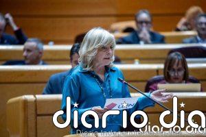 María Caballero (UPN) denuncia el "blanqueamiento" de la violencia de los radicales tras el ataque en Berriozar