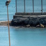 Más de 1.500 migrantes han entrado a nado en Ceuta en la última semana y 400 acampan a las puertas del CETI