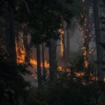 Más de 100.000 afectados, miles de hectáreas quemadas y vías cortadas por el fuego en Madrid, Ávila, Castellón y Toledo