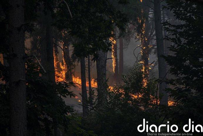 Más de 100.000 afectados, miles de hectáreas quemadas y vías cortadas por el fuego en Madrid, Ávila, Castellón y Toledo