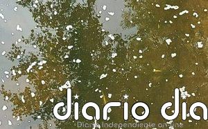 Más de 2.100 peces muertos por un vertido de purines en los ríos Pisueña y Llerana