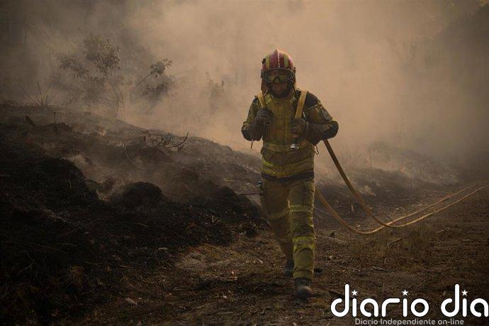 Más de un millar de bomberos combaten el incendio de Vouzela (Portugal)