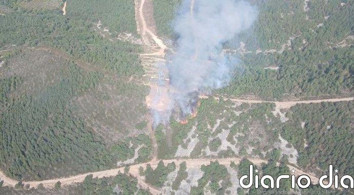 Más de una veintena de medios aéreos y terrestres trabaja en un incendio accidental en Castropodame (León)