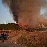 Medio Ambiente invierte un millón de euros en restaurar las zonas forestales afectadas por los incendios de 2022 y 2025