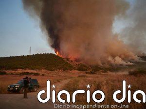 Medio Ambiente invierte un millón de euros en restaurar las zonas forestales afectadas por los incendios de 2022 y 2025