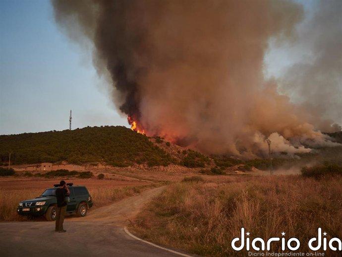 Medio Ambiente invierte un millón de euros en restaurar las zonas forestales afectadas por los incendios de 2022 y 2025