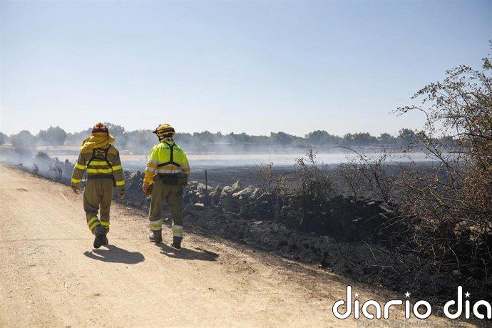 Mejora "sensiblemente" situación en Fermoselle con pequeños focos activos en las zonas más inaccesibles