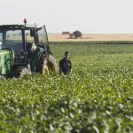 Molinos Agro y la Asociación de Cooperativas Argentinas construirán una planta de molienda por 437,6 millones
