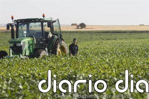Molinos Agro y la Asociación de Cooperativas Argentinas construirán una planta de molienda por 437,6 millones